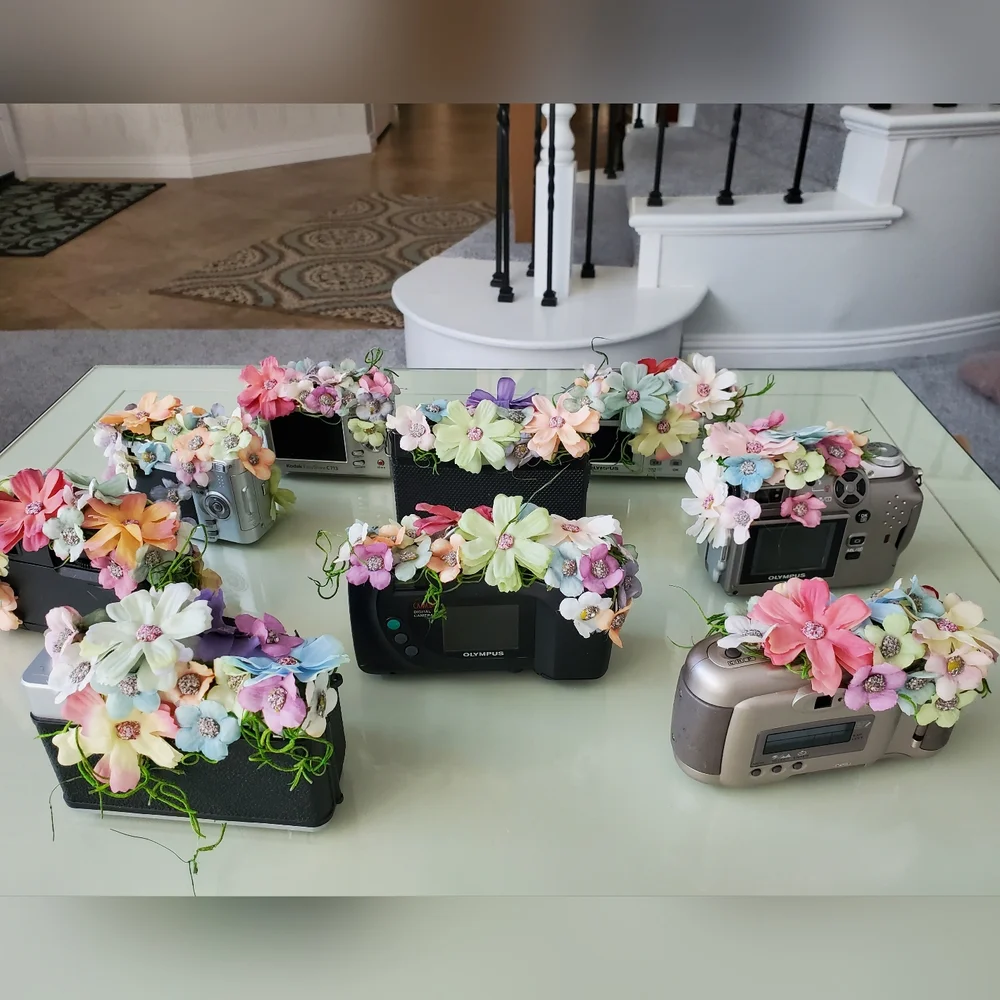 CAMERA CENTERPIECES for Photography, Travel, Adventure, Graduation or DECOR